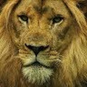 Meet your Posher, Edgar